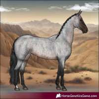 Horse Color:Brown Roan