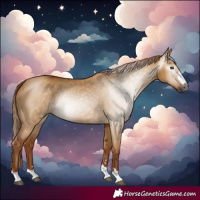 Horse Color:Gray Red Dun