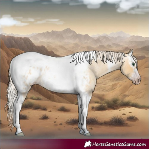 Horse Color:Gray Silver Amber Cream Champagne Roan Dun Splash Tobiano Frame Blanket Rabicano 