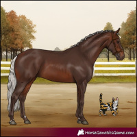 Horse Color:Silver Brown 