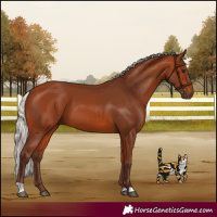 Horse Color:Silver Bay 