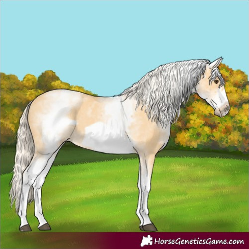 Horse Color:White Spotted Palomino Frame