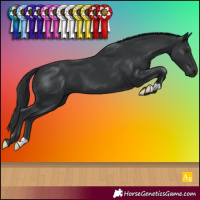 Horse Color:Black Mushroom 