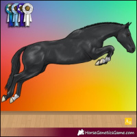 Horse Color:Black Mushroom