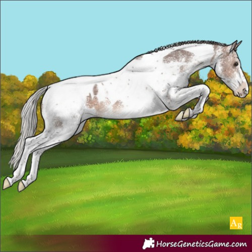 Horse Color:White Spotted Silver Brown Tobiano Appaloosa
