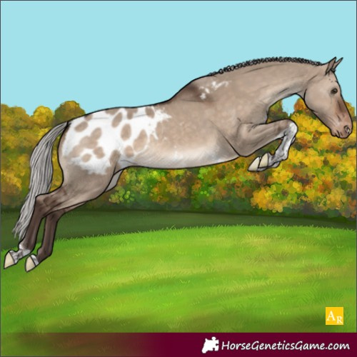 Horse Color:Unknown 