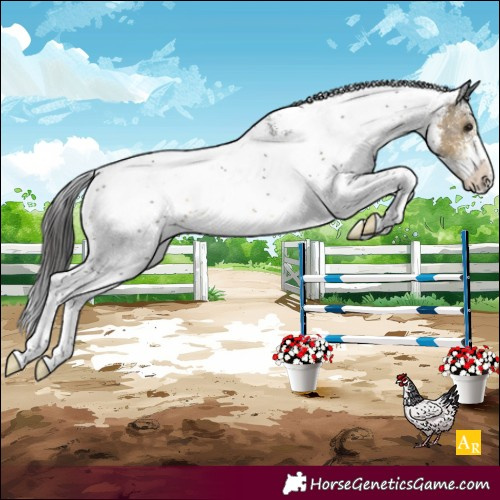 Horse Color:White Spotted Buckskin