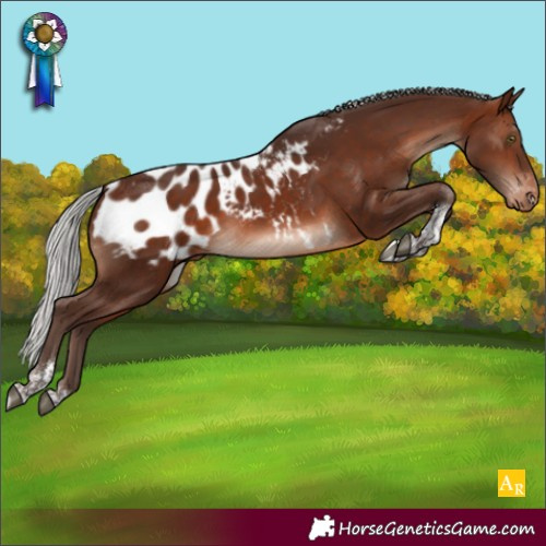 Horse Color:Silver Brown Mushroom Tobiano Blanket