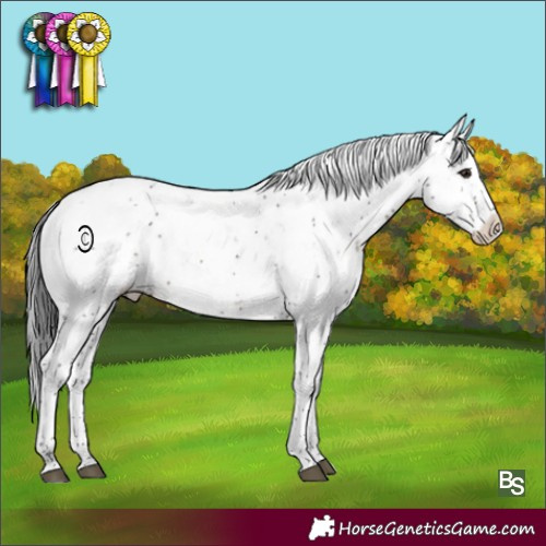 Horse Color:Brown Sabino 