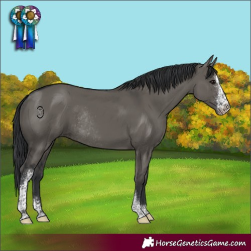 Horse Color:Grullo Sabino Rabicano 