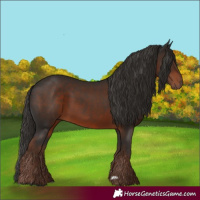 Horse Color:Liver Chestnut