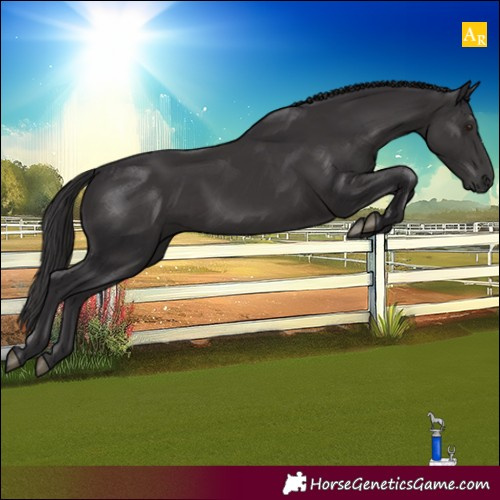 Horse Color:Smoky Black Mushroom
