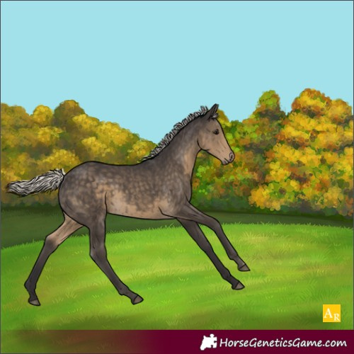 Horse Color:Silver Smoky Black Mushroom 
