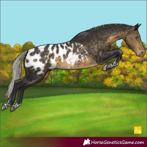 Horse Color:Silver Buckskin Tobiano Blanket 