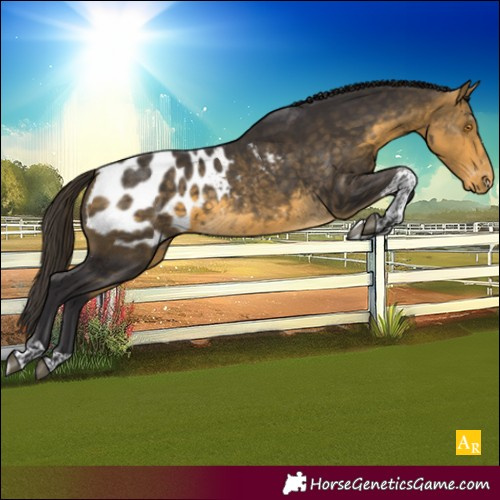Horse Color:Buckskin Mushroom Tobiano Blanket 