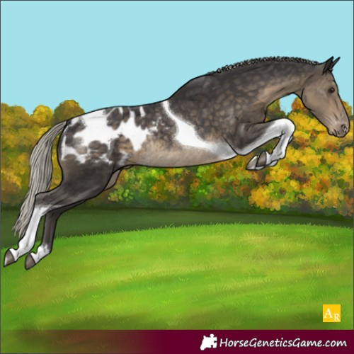 Horse Color:Silver Smoky Black Tobiano Appaloosa Rabicano