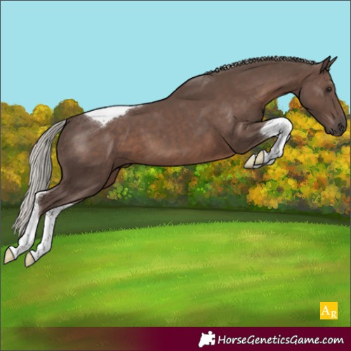 Horse Color:Silver Black Tobiano