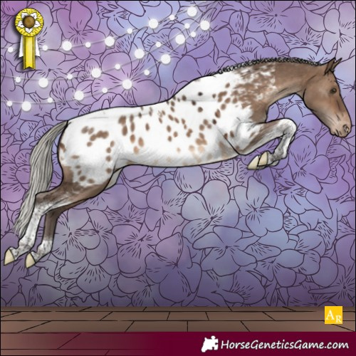 Horse Color:Silver Brown Dun Tobiano Appaloosa 