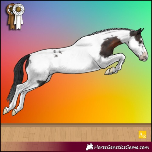 Horse Color:Brown Tobiano Frame