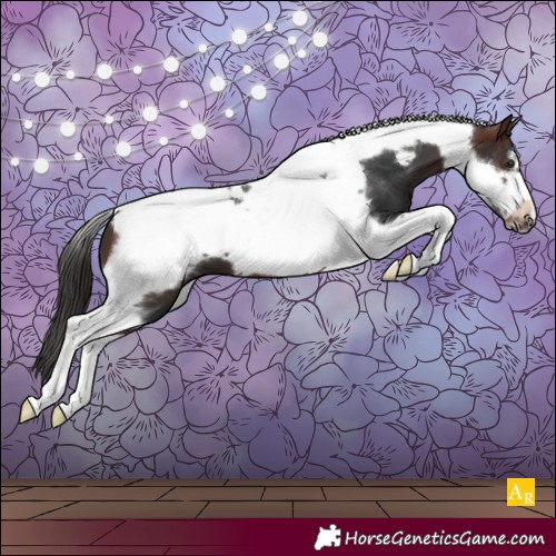 Horse Color:Brown Tobiano Frame 