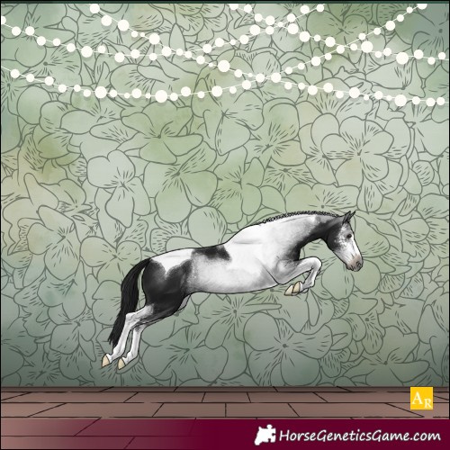 Horse Color:Gray Brown Sabino Tobiano 