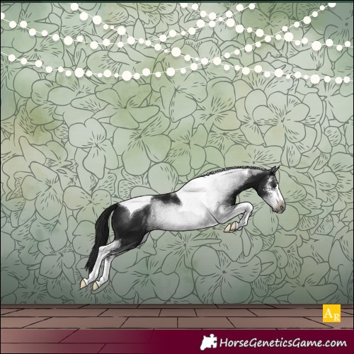 Horse Color:Gray Brown Sabino Tobiano 