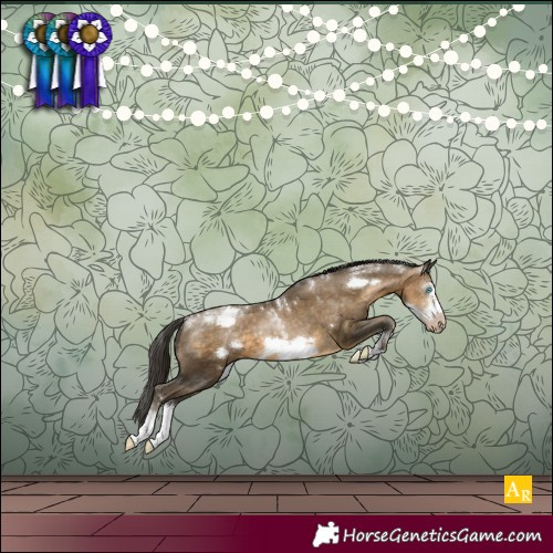 Horse Color:Powder White Gray Buckskin Pearl Sabino Frame Varnish 
