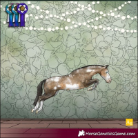 Horse Color:Powder White Gray Buckskin Pearl Sabino Frame Varnish 
