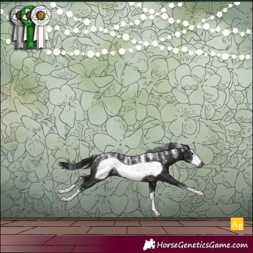 Horse Color:Powder White Gray Brown Sabino Frame Rabicano