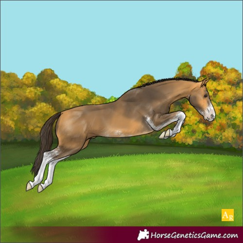 Horse Color:Buckskin Sabino 