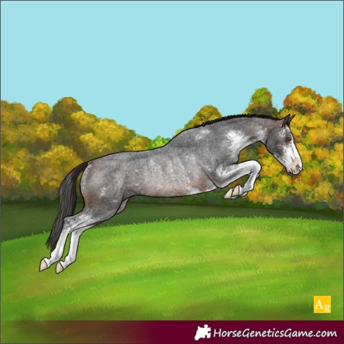 Horse Color:Brown Roan Sabino Varnish Rabicano
