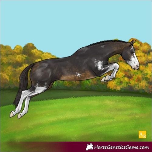 Horse Color:Buckskin Sabino