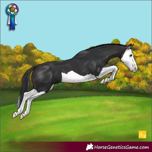 Horse Color:Brown Splash