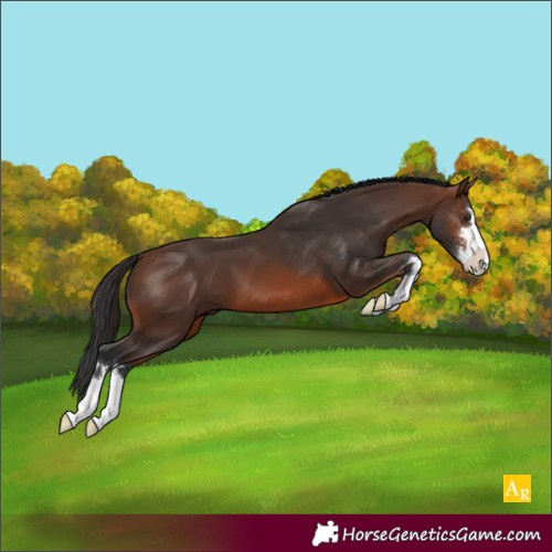 Horse Color:Brown 