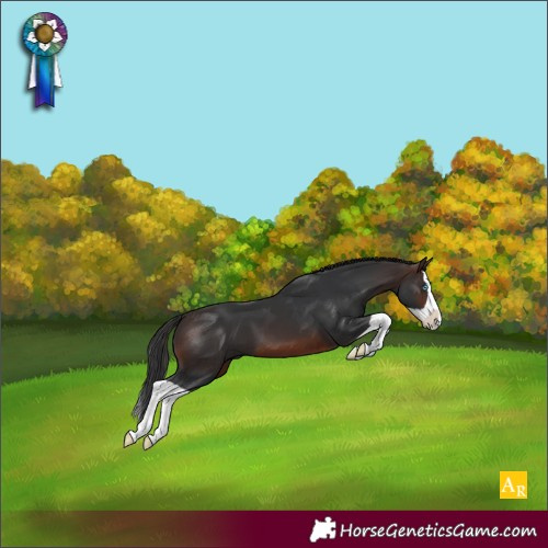 Horse Color:Brown Splash