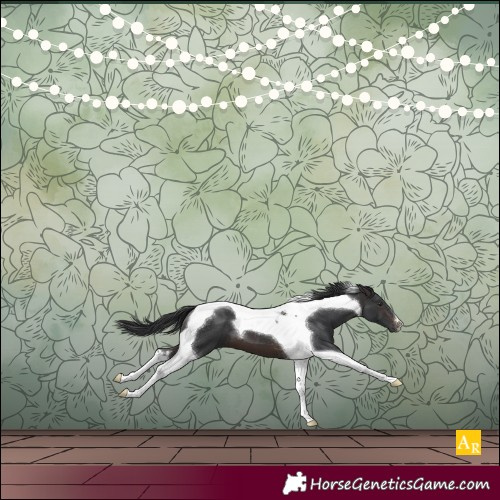 Horse Color:Brown Tobiano
