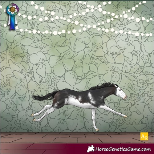 Horse Color:Brown Sabino Splash