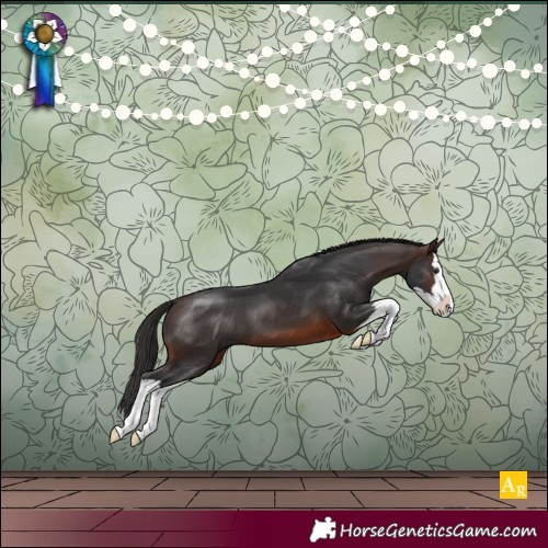 Horse Color:Brown Splash