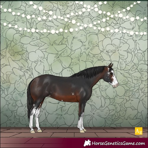 Horse Color:Brown Sabino Varnish 
