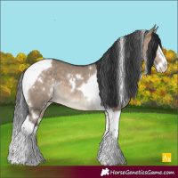 Horse Color:White Spotted Brown Dun Splash Tobiano Varnish