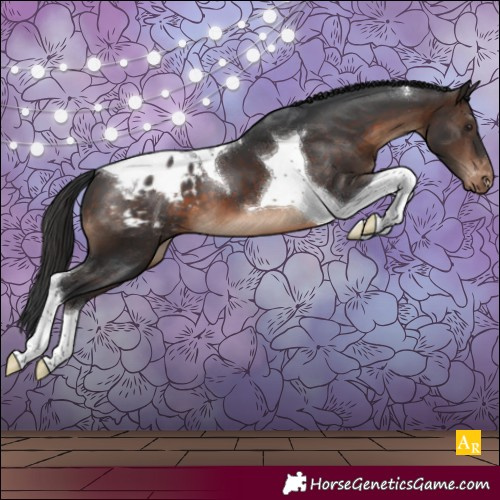 Horse Color:Brown Tobiano Blanket