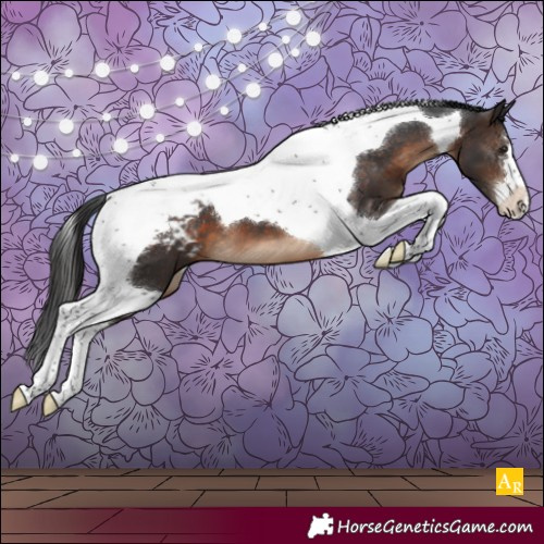 Horse Color:Brown Tobiano Blanket 