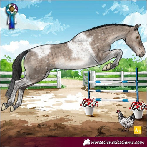 Horse Color:Brown Dun Mushroom Tobiano Snowcap Rabicano Brindle 