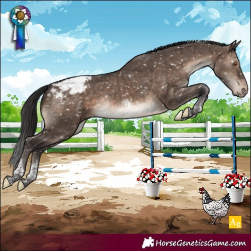 Horse Color:Brown Dun Mushroom Tobiano Appaloosa Rabicano Brindle 