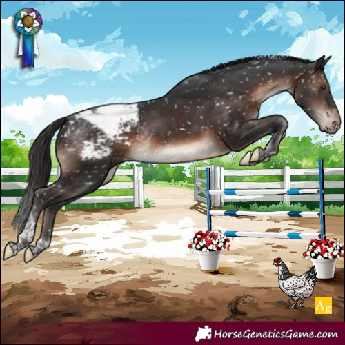 Horse Color:Brown Mushroom Tobiano Snowcap Rabicano