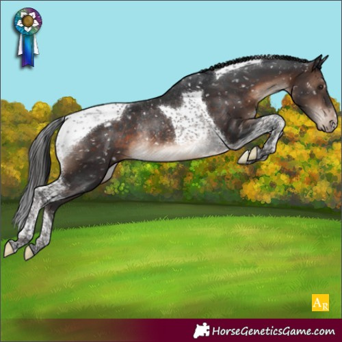 Horse Color:Brown Mushroom Tobiano Appaloosa Rabicano 