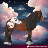 Horse Color:Bay Blanket 