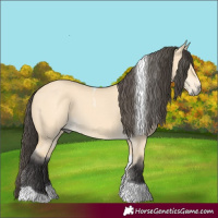Horse Color:Buckskin Dun Tobiano