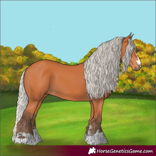Horse Color:Silver Bay 