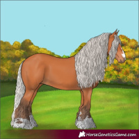Horse Color:Silver Bay